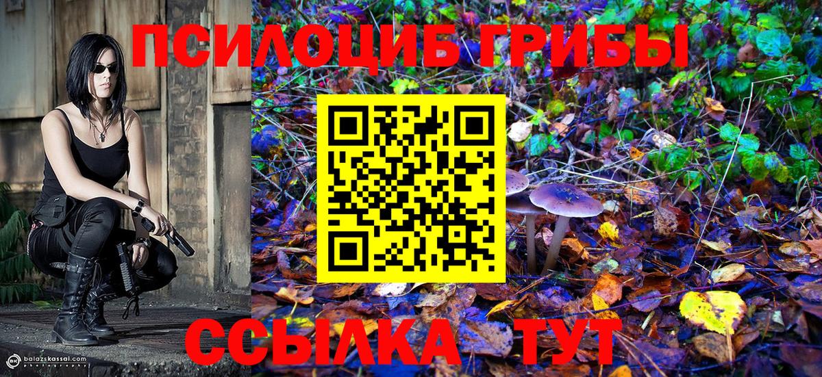 где купить   Вход с VPN  Сальск  Галлюциногенные грибы Magic Shrooms  Галлюциногенные грибы мухоморы 