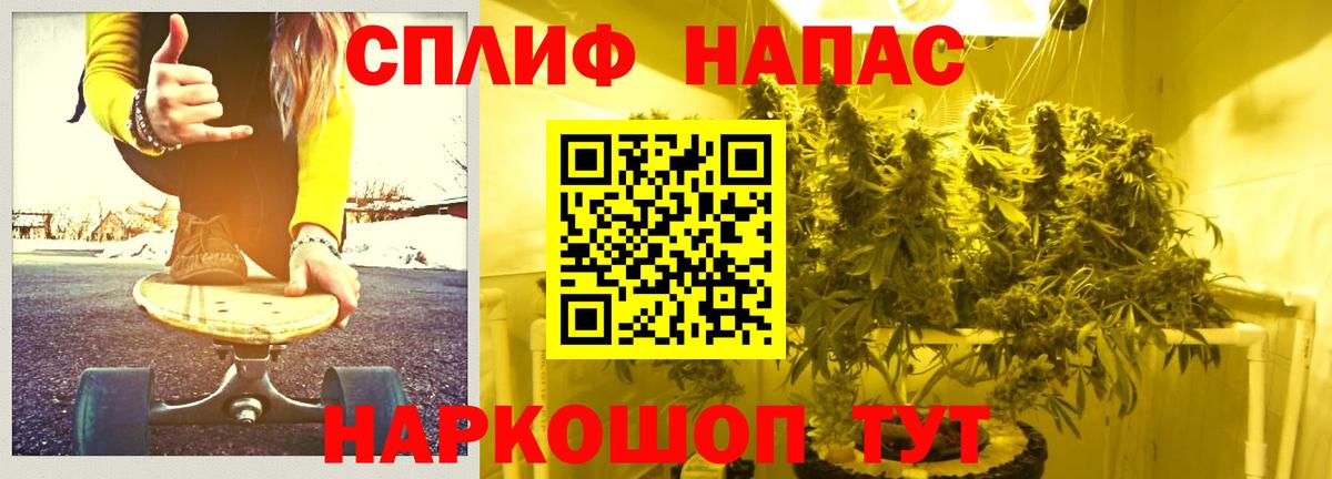 Канабис планчик Сальск